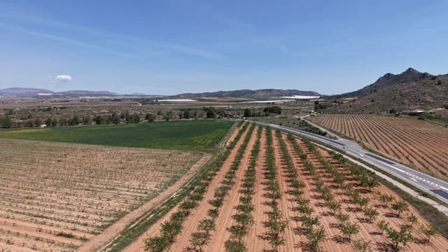 Terre non Aménagée à vendre à Yecla - 48 000 € (Ref: 10177617)