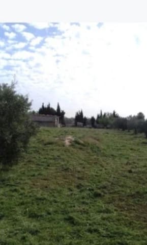 1 chambre Finca/Maison de Campagne à vendre à Caudete - 48 995 € (Ref: 10177621)
