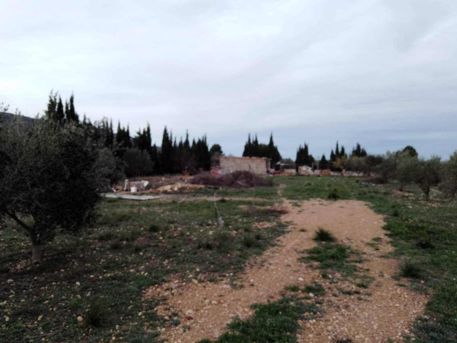 1 chambre Finca/Maison de Campagne à vendre à Caudete - 48 995 € (Ref: 10177621)
