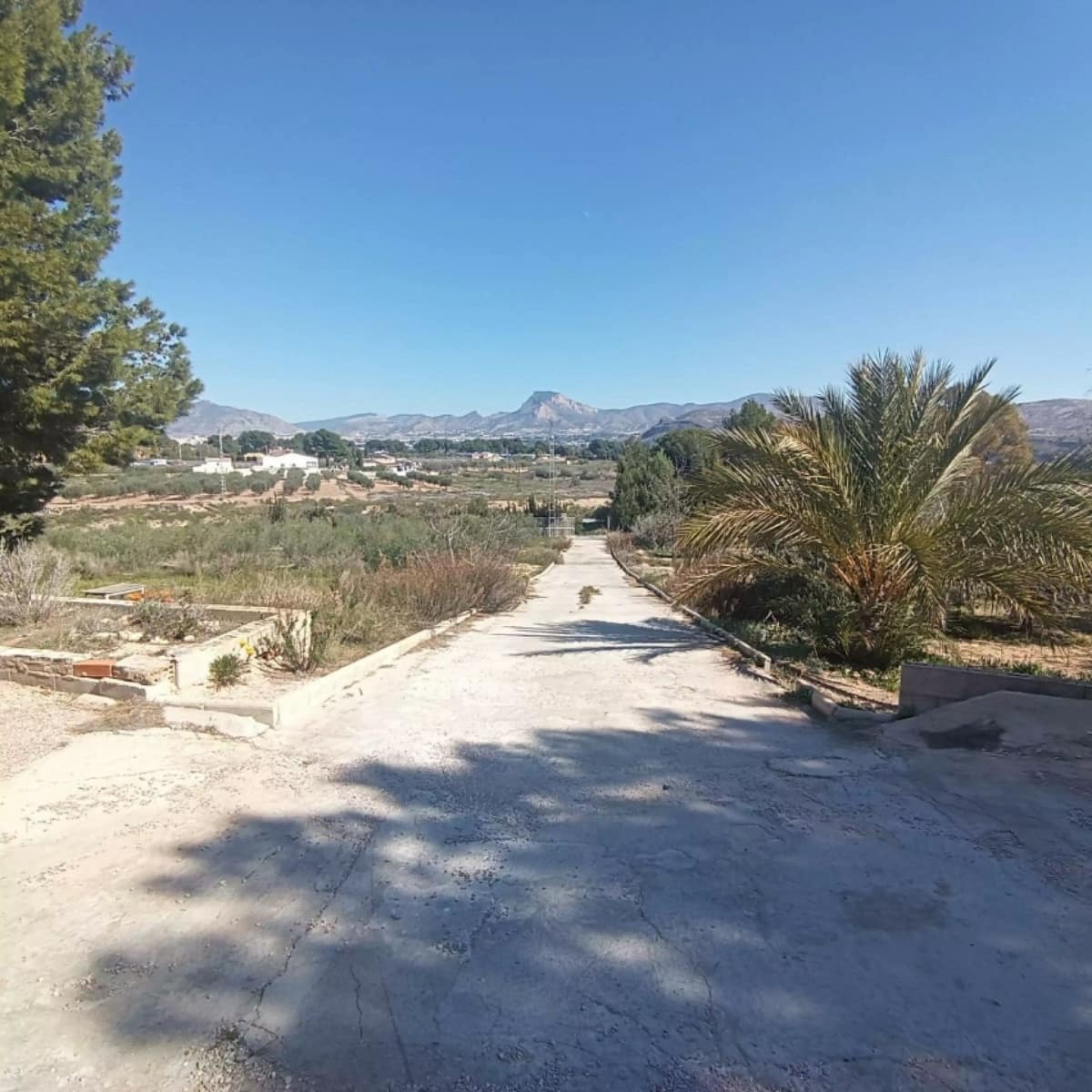 6 chambre Finca/Maison de Campagne à vendre à Elda avec piscine - 190 000 € (Ref: 10182444)
