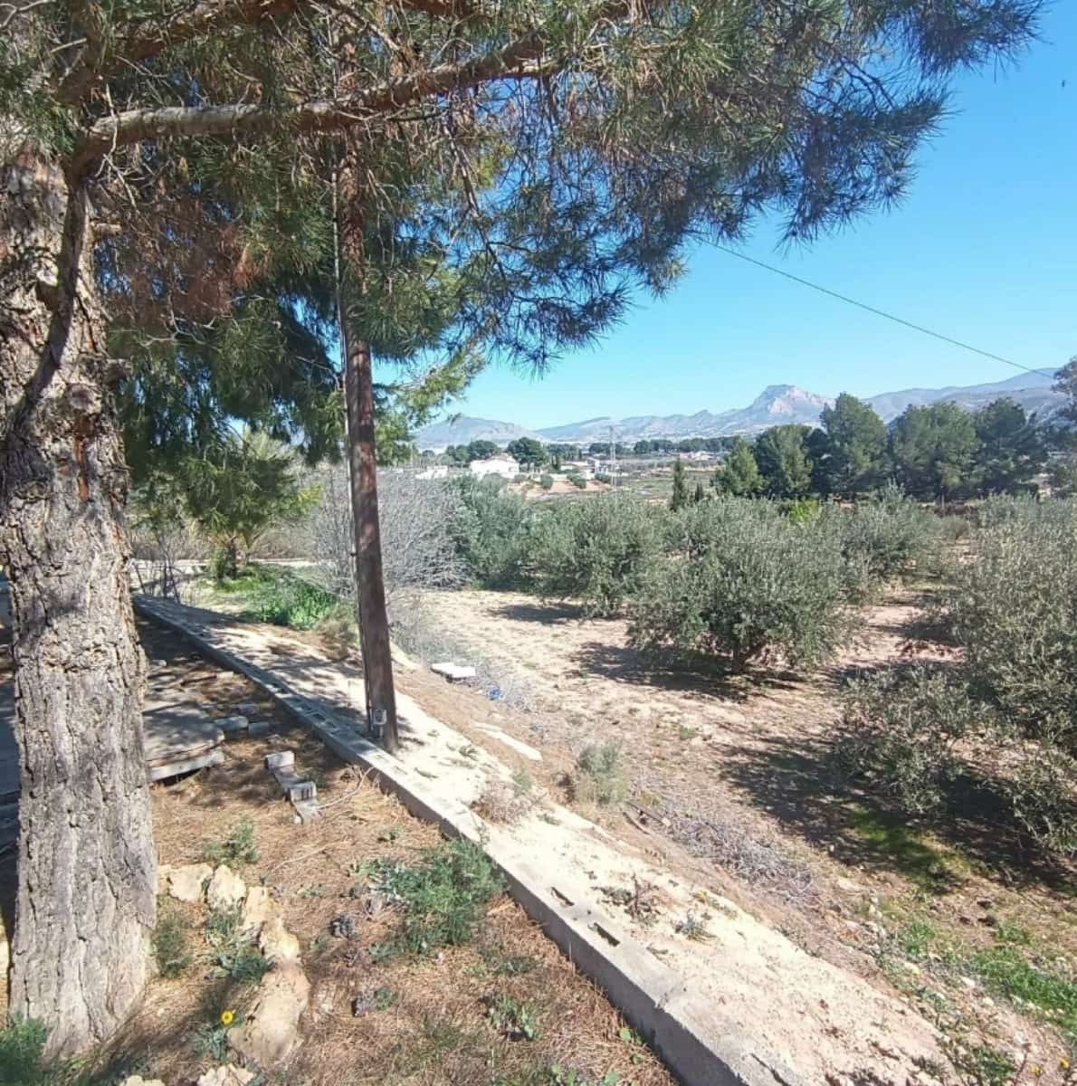 6 chambre Finca/Maison de Campagne à vendre à Elda avec piscine - 190 000 € (Ref: 10182444)