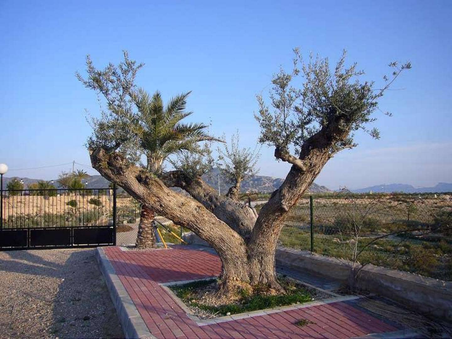 3 bedroom Villa for sale in Abanilla with pool - € 297,000 (Ref: 1603380)