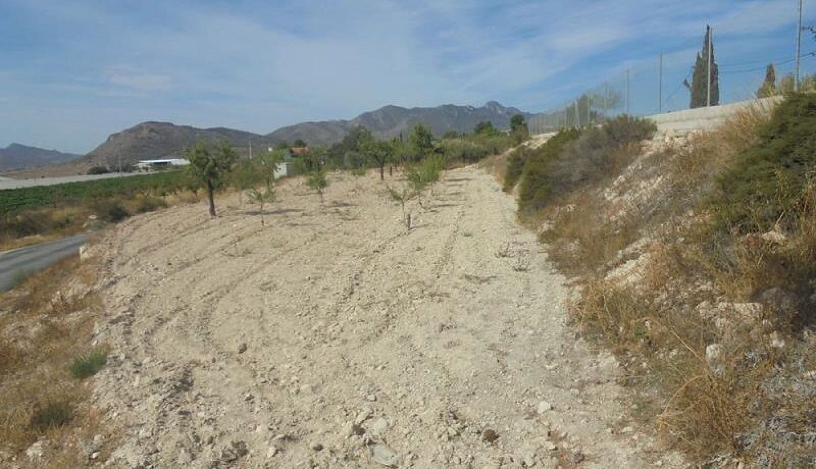 6 bedroom Finca/Country House for sale in La Romana - € 79,995 (Ref: 2541145)