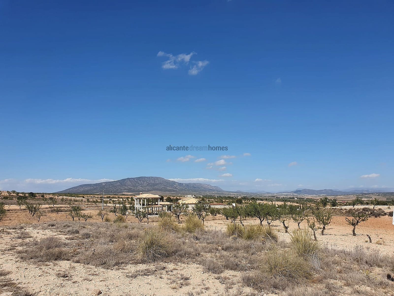 Chalet de 4 habitaciones en Pinoso en venta con piscina - 159.995 € (Ref: 4182886)