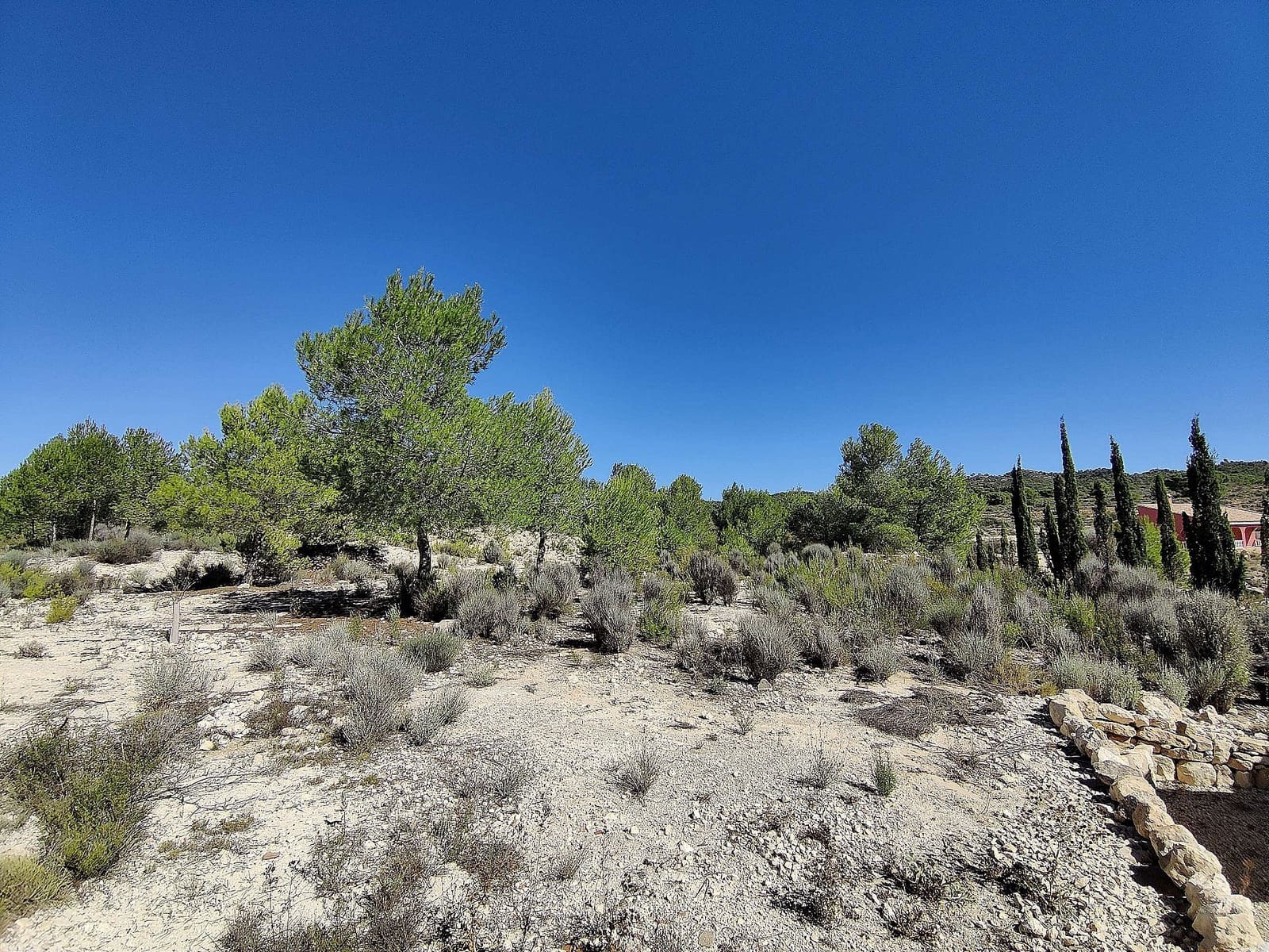 2 bedroom Finca/Country House for sale in Monovar / Monover - € 79,995 (Ref: 4238583)