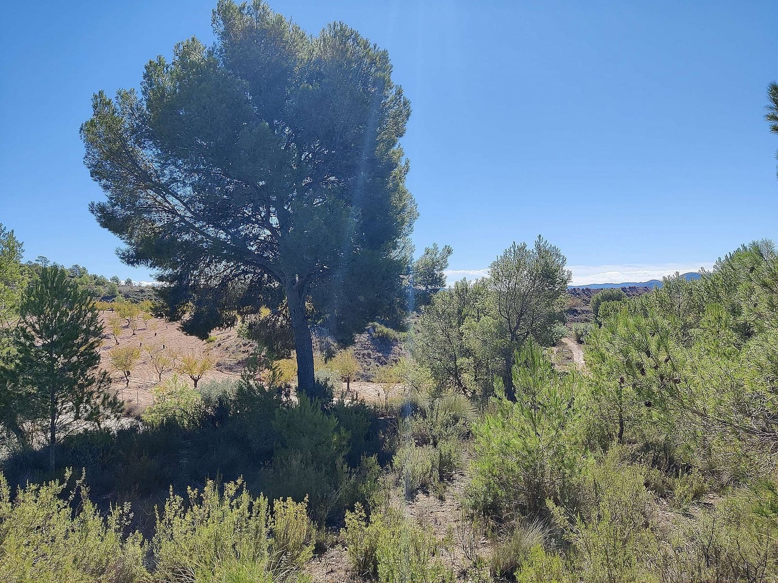 2 bedroom Finca/Country House for sale in Monovar / Monover - € 79,995 (Ref: 4238583)