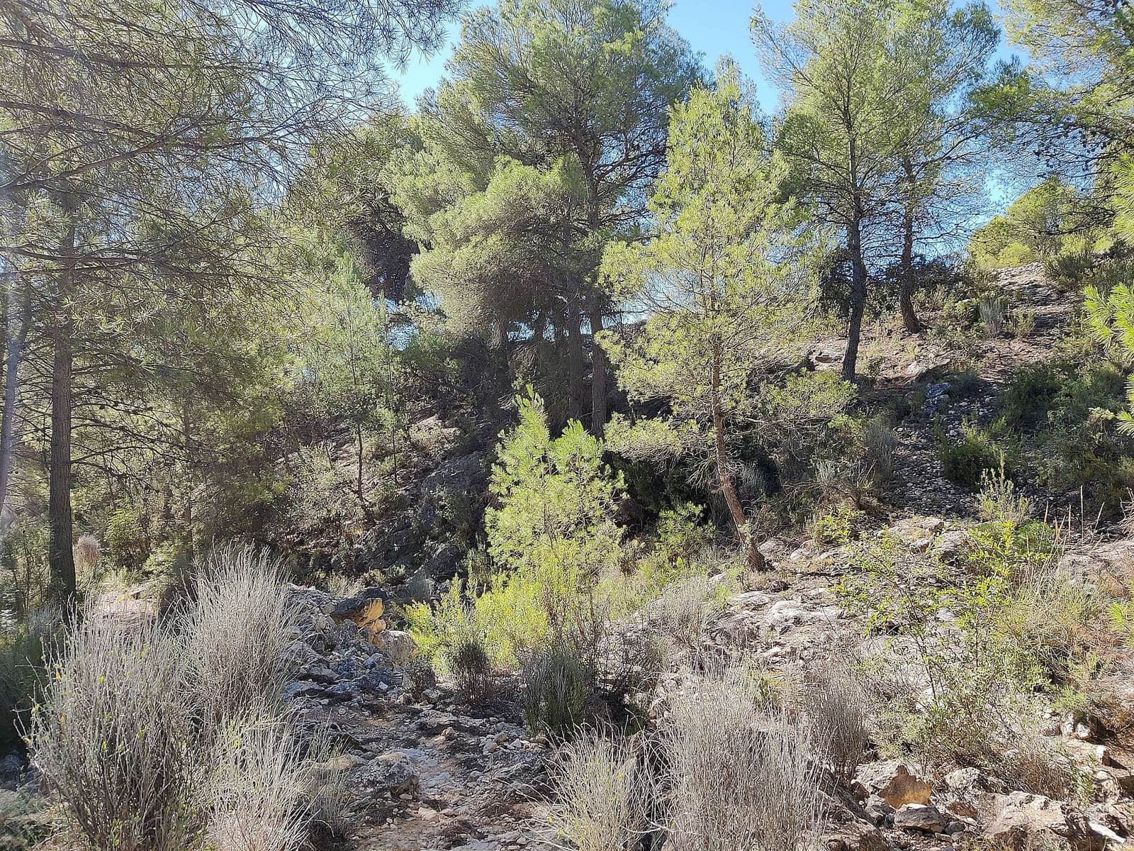 2 bedroom Finca/Country House for sale in Monovar / Monover - € 79,995 (Ref: 4238583)