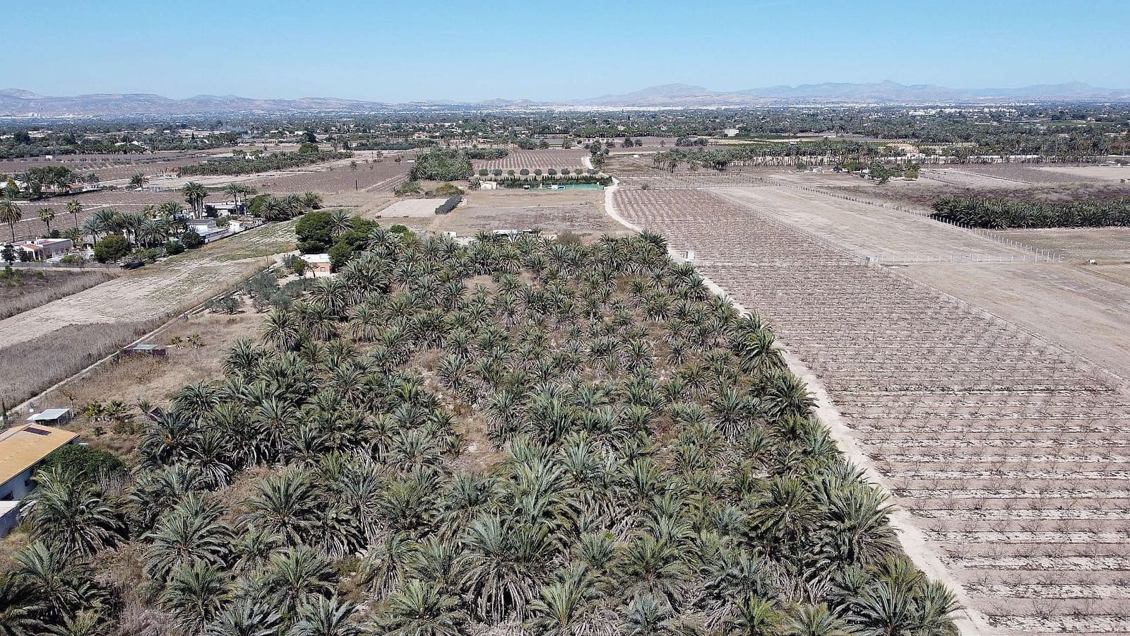 Grond te koop in Elche / Elx - € 99.995 (Ref: 4253339)