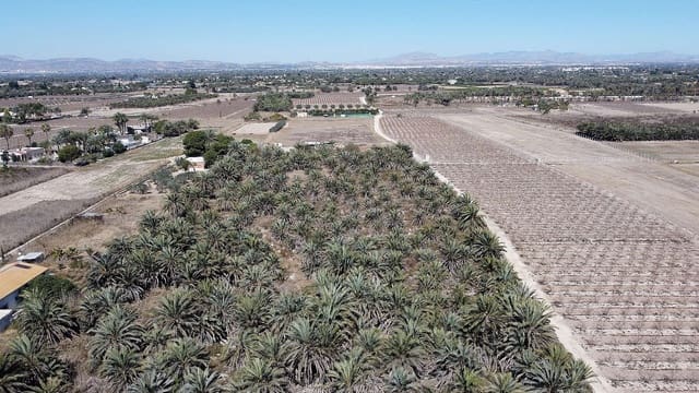 Grunde uden byggetilladelser til salg i La Foia - Daimés - Asprella, Elche / Elx - € 99.995 (Ref: 4253339)