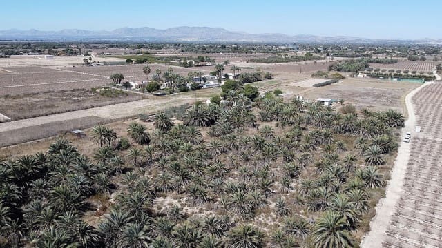 Grunde uden byggetilladelser til salg i La Foia - Daimés - Asprella, Elche / Elx - € 99.995 (Ref: 4253339)