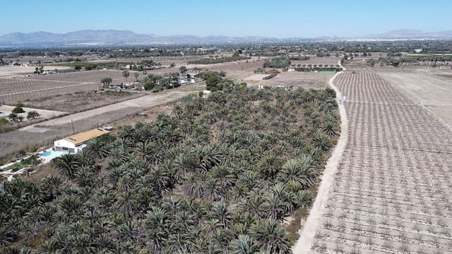 Undeveloped Land for sale in La Foia - Daimés - Asprella, Elche / Elx - € 99,995 (Ref: 4253339)