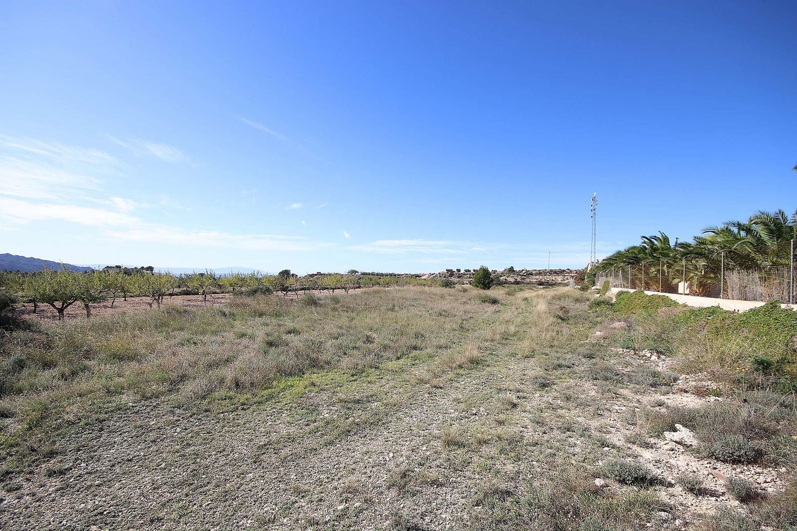 Terreno Não Urbanizado para venda em Macisvenda - 29 995 € (Ref: 4866575)