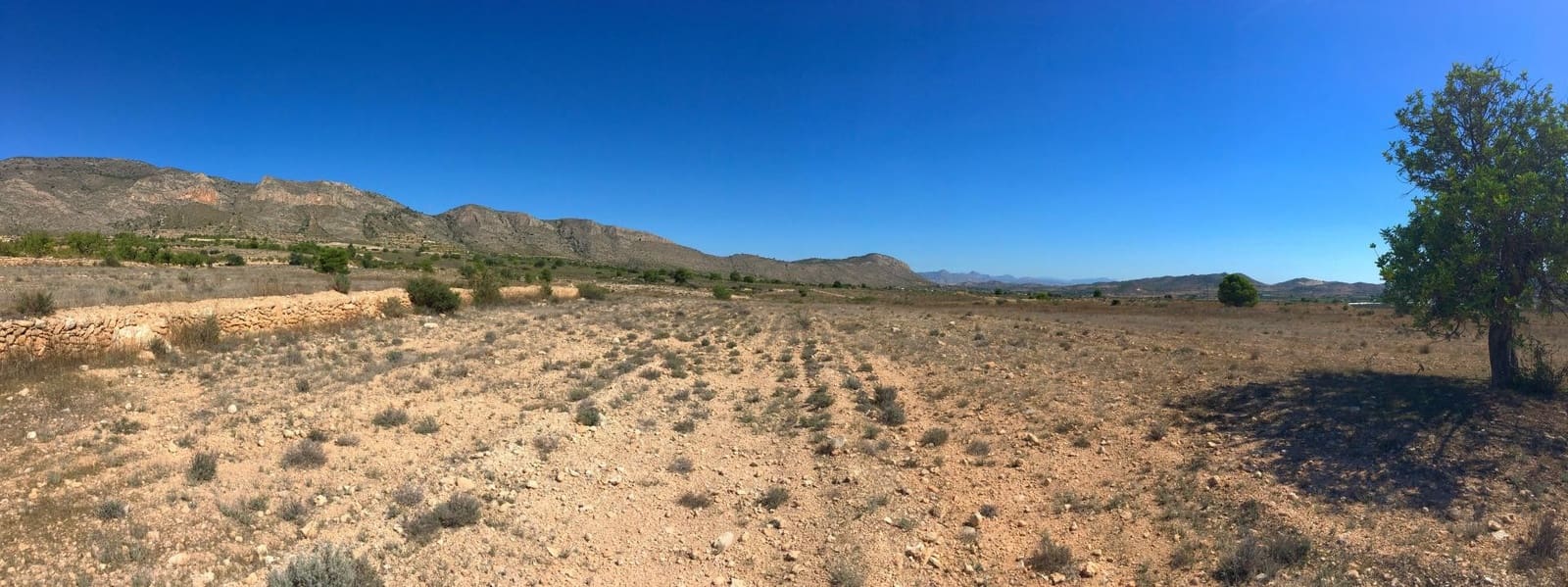 4 bedroom Villa for sale in Hondon de las Nieves - € 319,240 (Ref: 5018222)