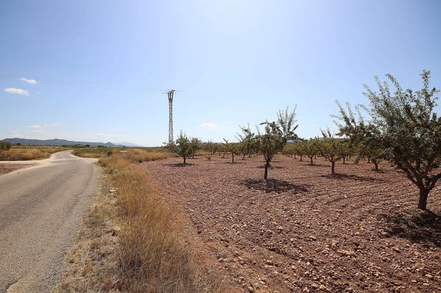 Ubebygd land til salgs i Pinoso - € 70 995 (Ref: 5018261)