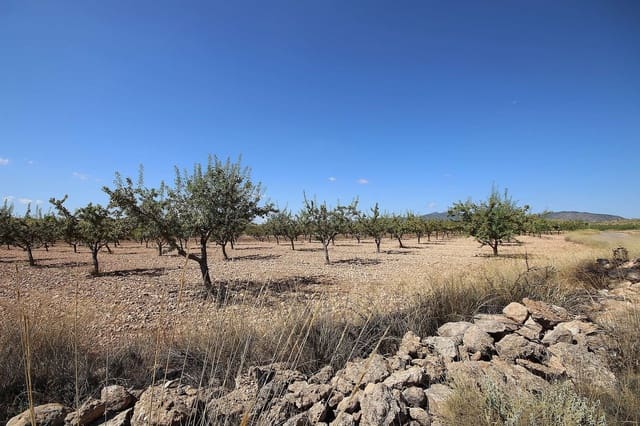 Ubebygd land til salgs i Pinoso - € 70 995 (Ref: 5018261)