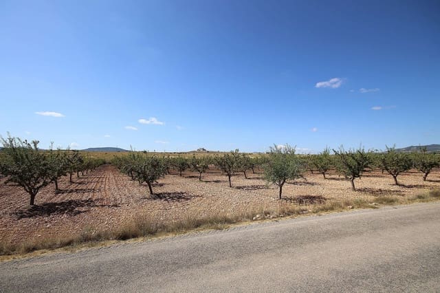 Ubebygd land til salgs i Pinoso - € 70 995 (Ref: 5018261)