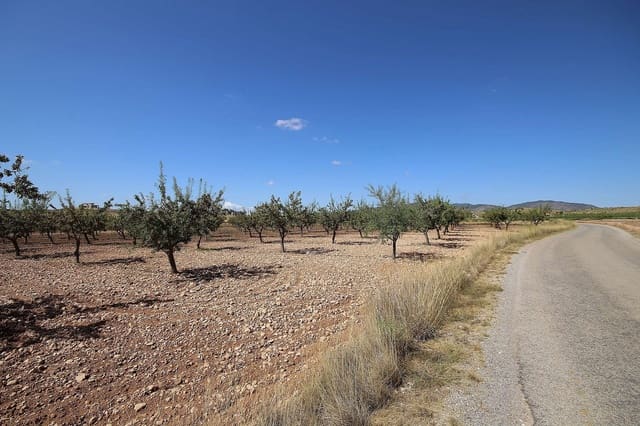 Ubebygd land til salgs i Pinoso - € 70 995 (Ref: 5018261)