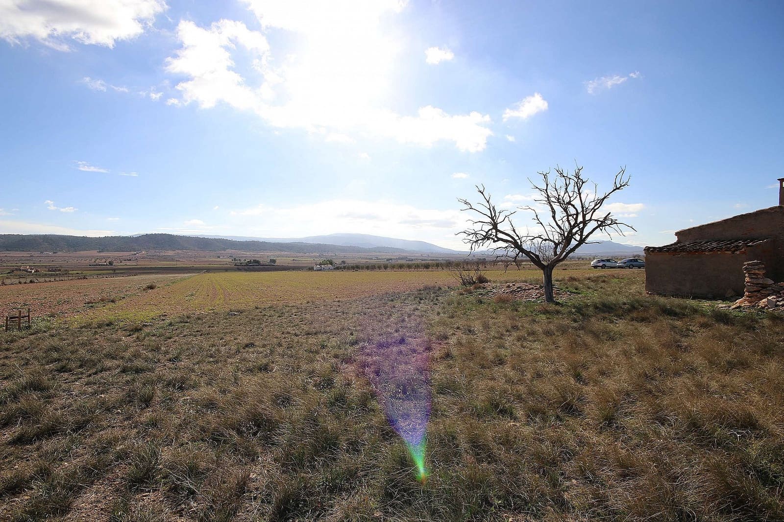 Undeveloped Land for sale in Yecla € 34,995 (Ref 5018374)