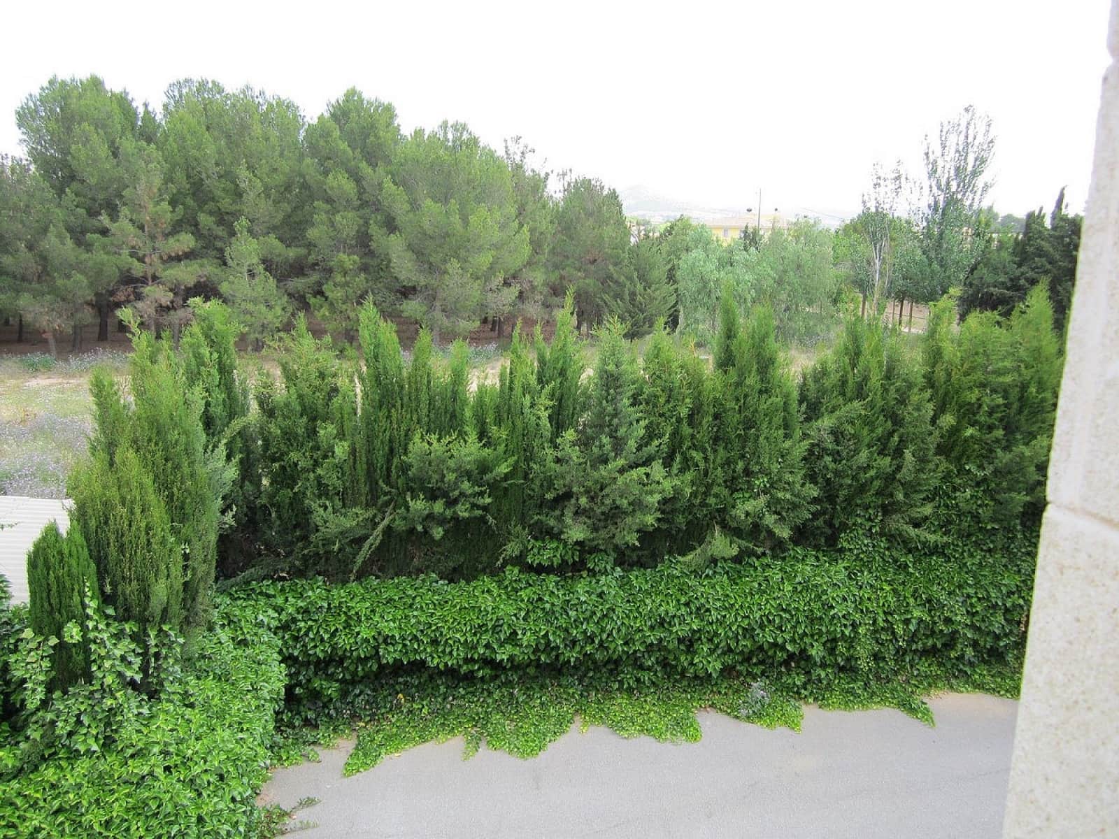 6 camera da letto Villa in vendita in Yecla con piscina - 590.000 € (Rif: 5617457)