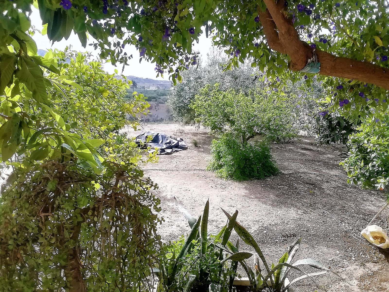 4 soveværelse Villa til salg i Abanilla med swimmingpool garage - € 219.995 (Ref: 6008339)