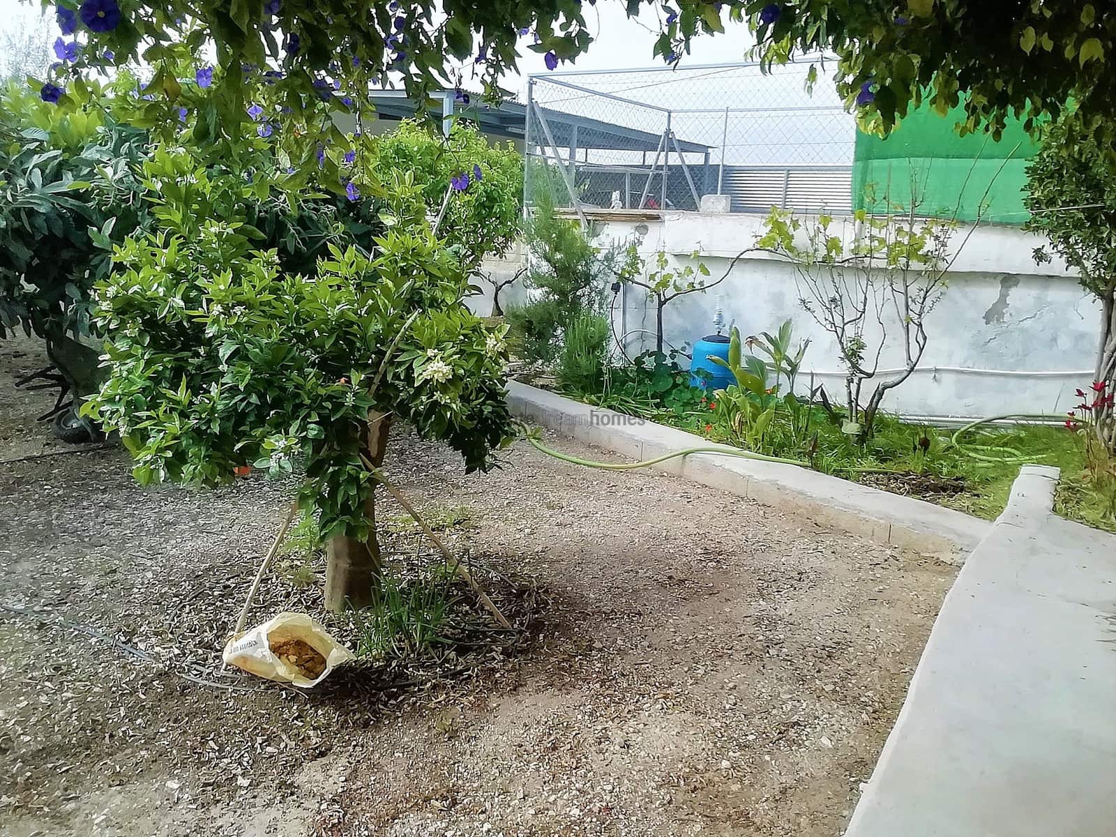 4 sypialnia Willa na sprzedaż w Abanilla z basenem garażem - 219 995 € (Ref: 6008339)