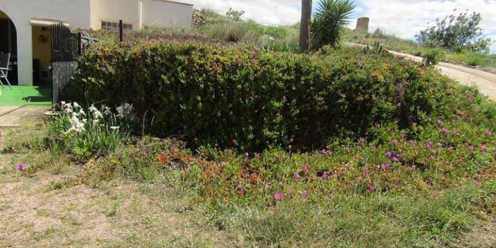 3 bedroom Cave House for sale in La Romana - € 119,999 (Ref: 6801401)