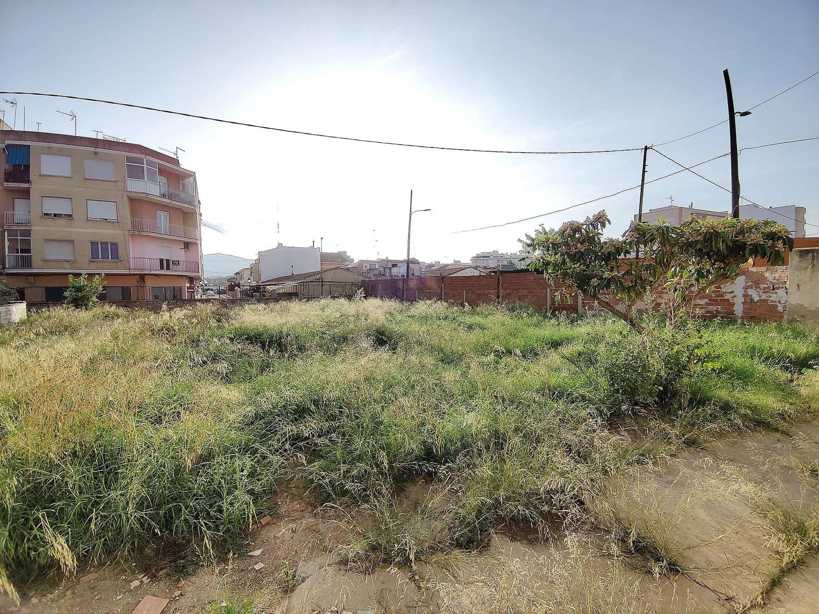 Mark till salu i Monovar / Monover - 155 000 € (Ref: 7210290)