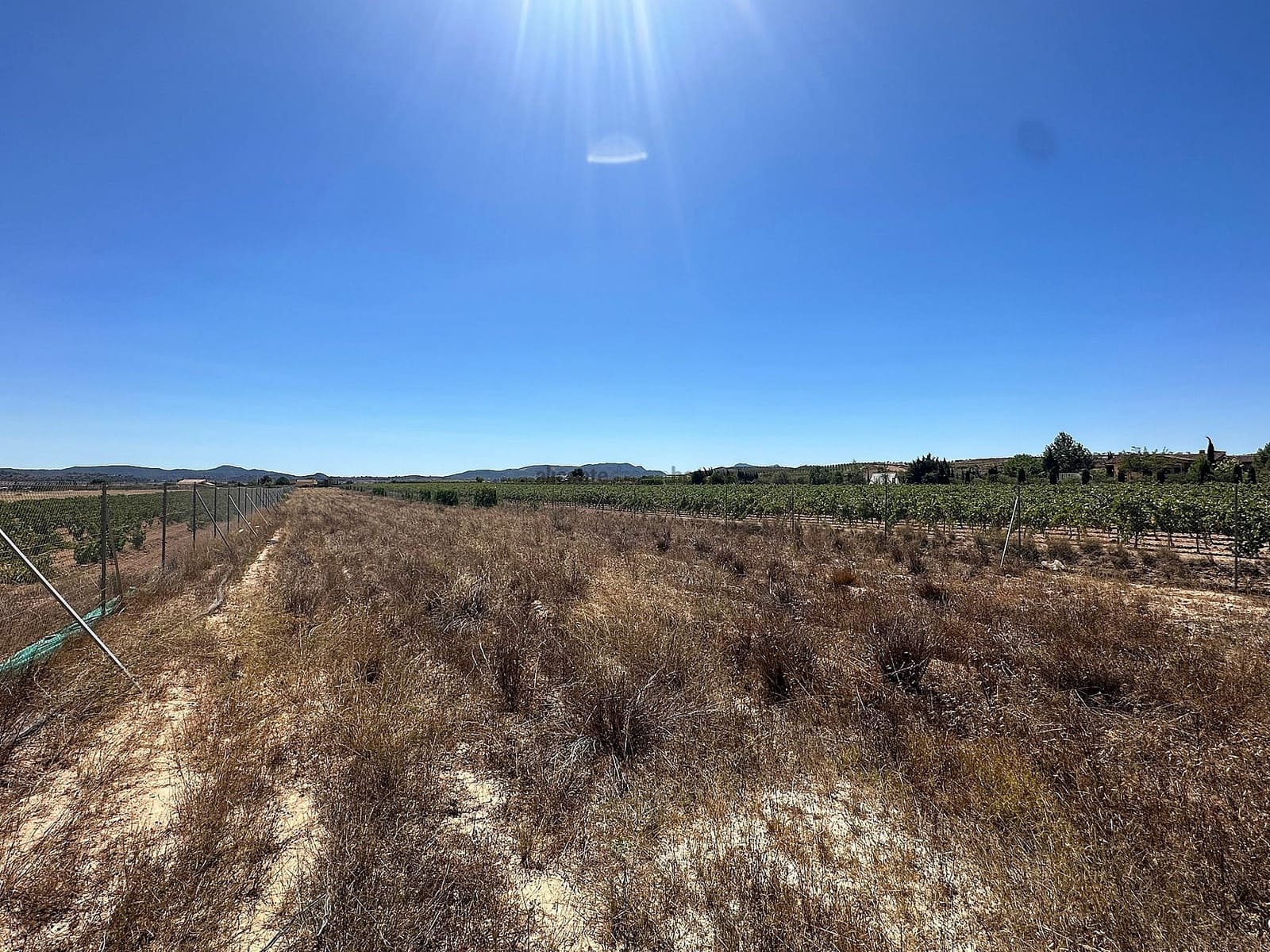 Terreno Não Urbanizado para venda em Pinoso - 49 995 € (Ref: 7757616)