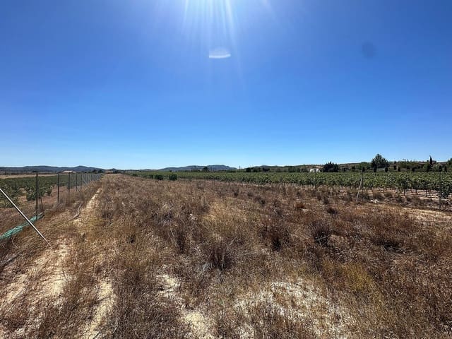 Terreno Não Urbanizado para venda em Pinoso - 49 995 € (Ref: 7757616)