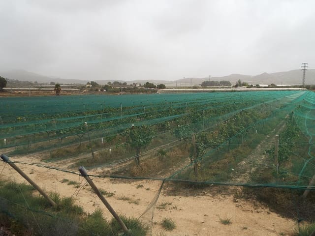 Undeveloped Land for sale in Monforte del Cid - € 110,000 (Ref: 7770612)