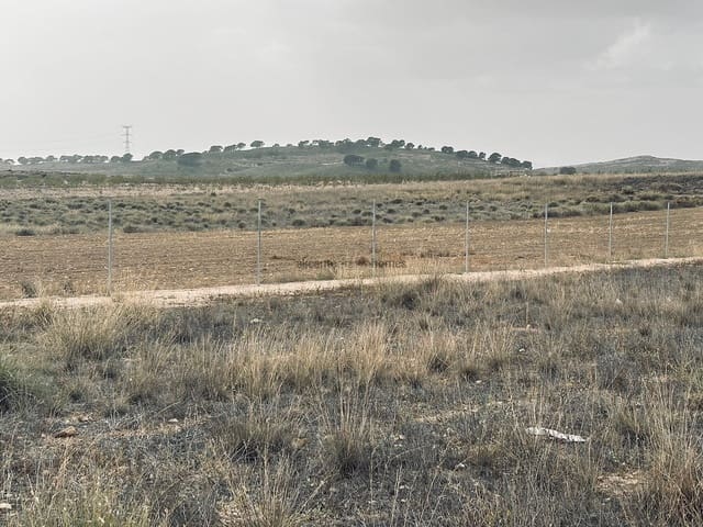 Undeveloped Land for sale in Torre del Rico, Jumilla - € 29,995 (Ref: 7821130)