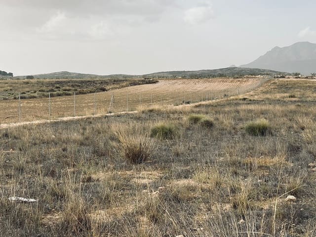 Undeveloped Land for sale in Torre del Rico, Jumilla - € 29,995 (Ref: 7821130)