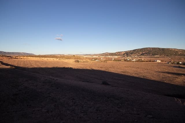 Terreno/Finca Rústica en Pinoso en venta - 40.000 € (Ref: 7935568)