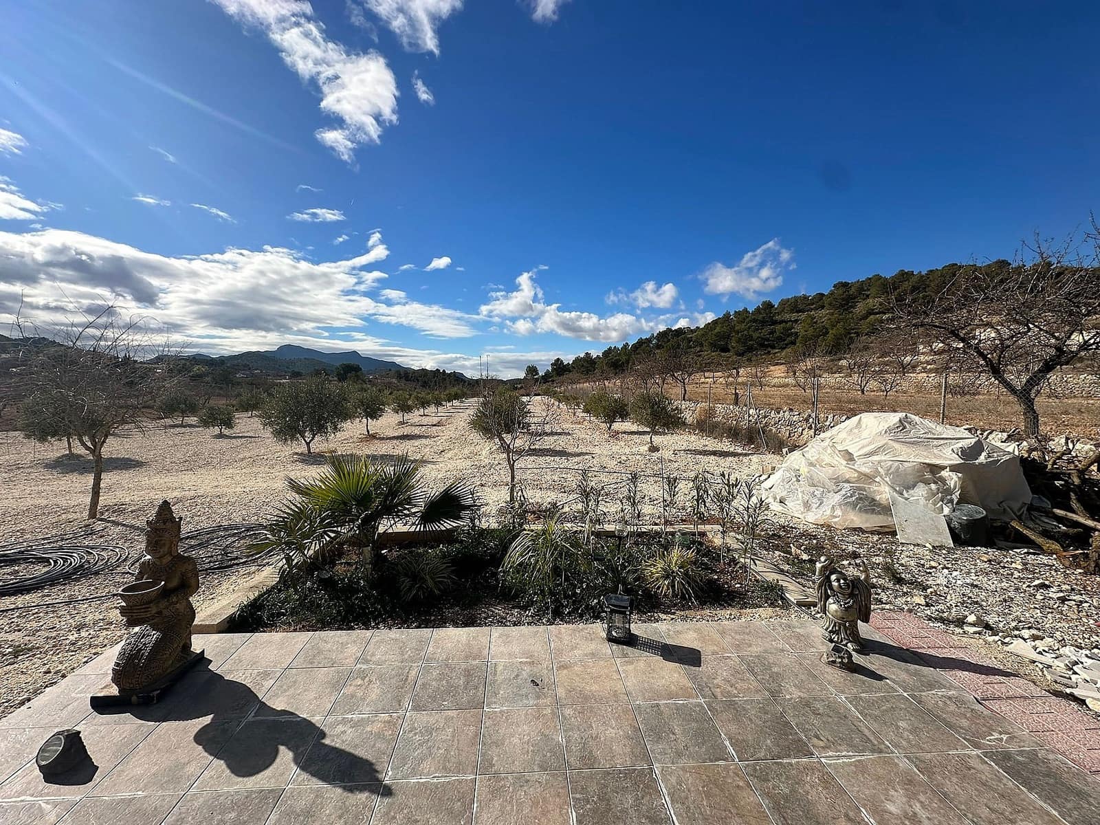 2 bedroom Finca/Country House for sale in La Zarza, Pinoso with pool