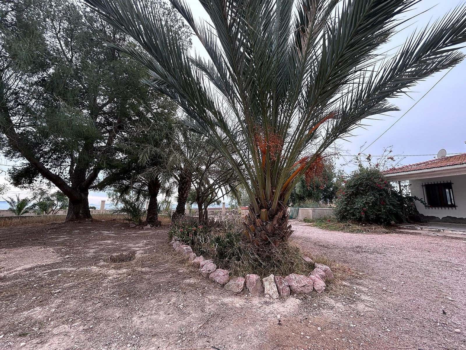 9 soveværelse Finca/Landehus til salg i Novelda med swimmingpool garage - € 399.999 (Ref: 8097150)