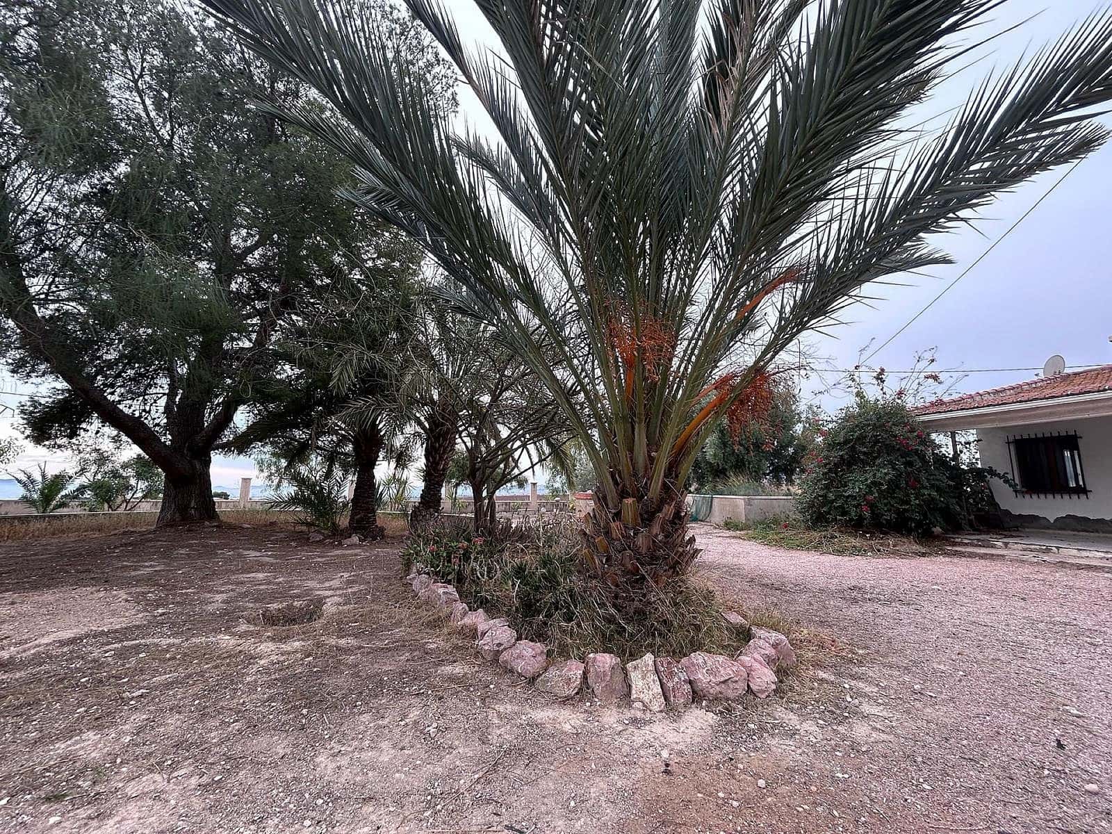 9 Zimmer Finca/Landgut zu verkaufen in Novelda mit Pool Garage - 399.999 € (Ref: 8097150)