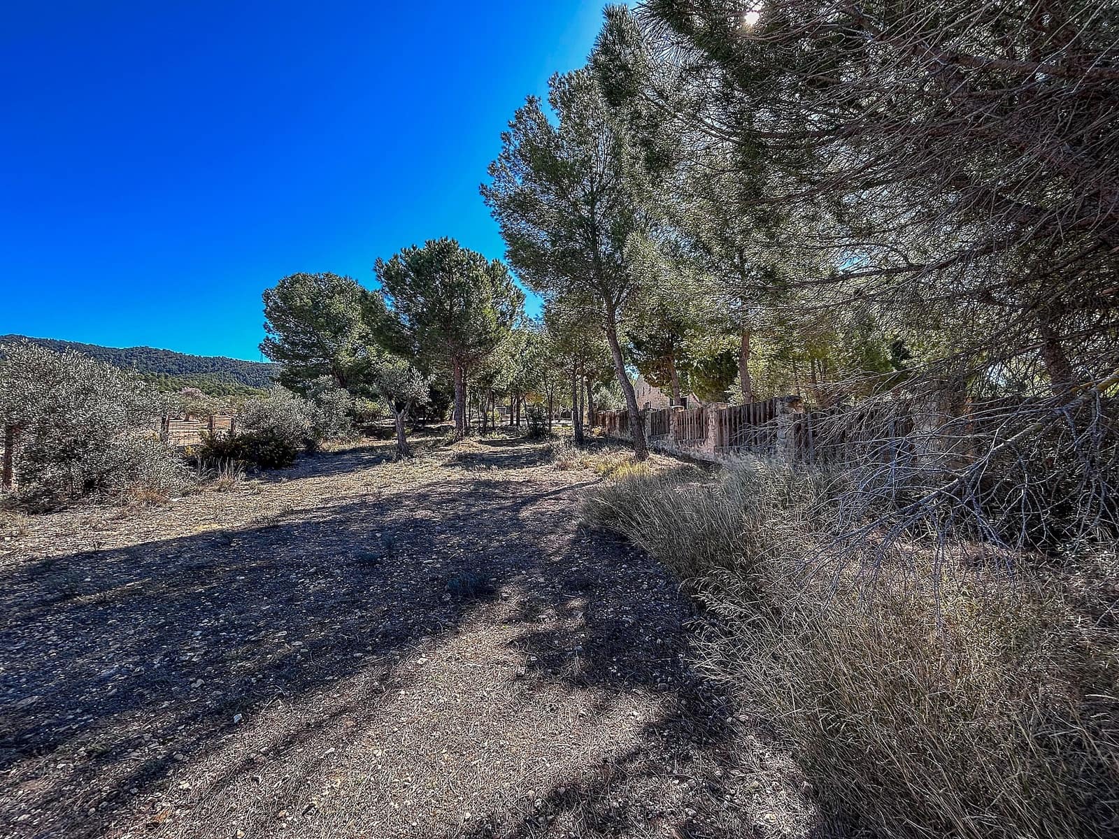 9 sovrum Villa till salu i Biar med pool - 1 000 000 € (Ref: 8132901)