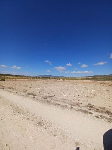 Undeveloped Land for sale in Ubeda, Pinoso - € 38,000 (Ref: 8474628)