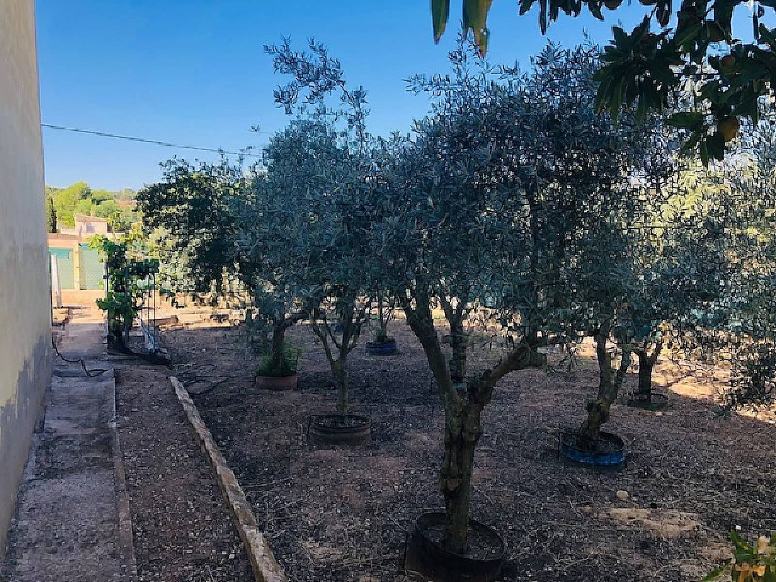 4 soveværelse Finca/Landehus til salg i Yecla - € 151.000 (Ref: 8552920)