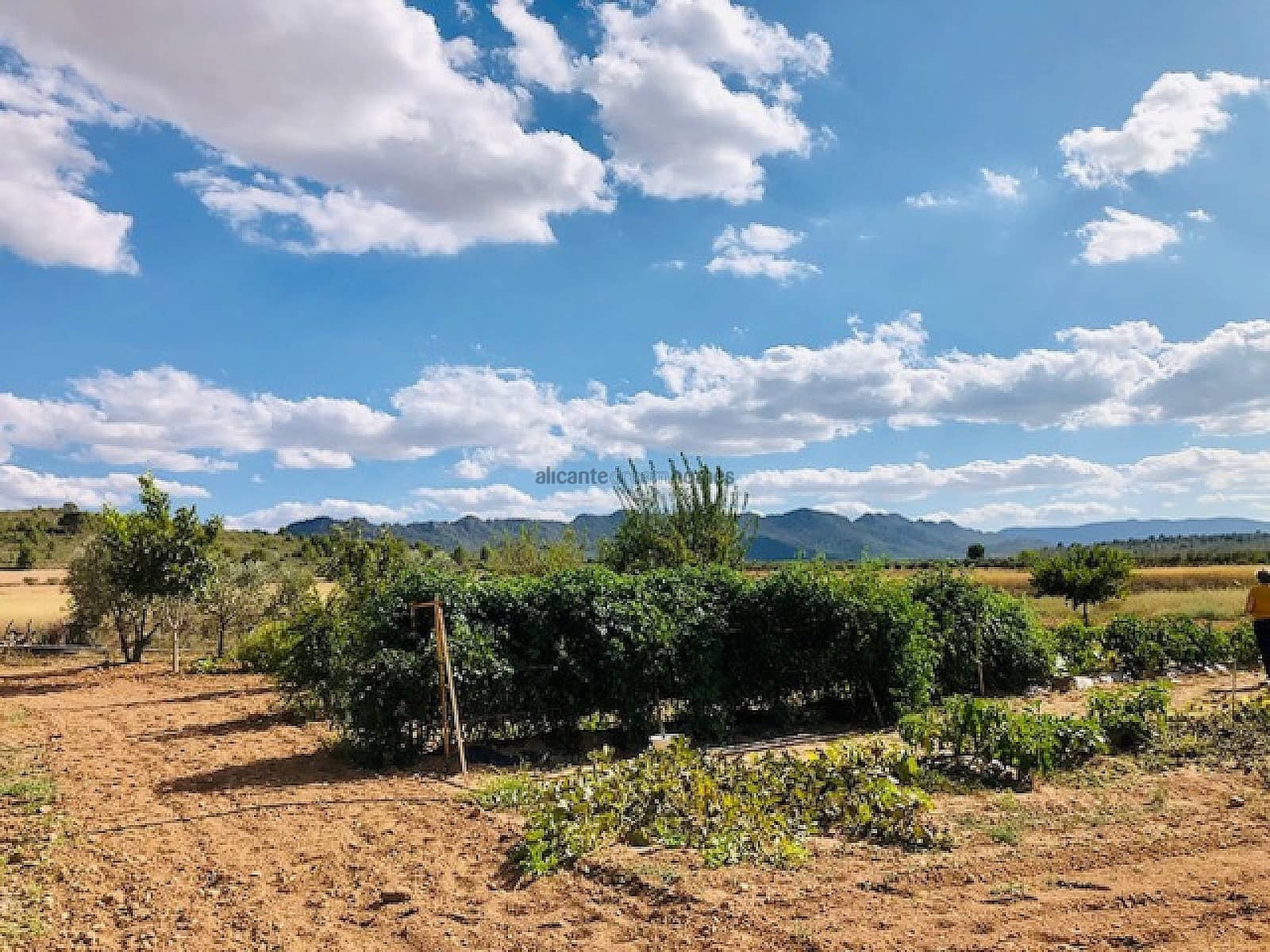 4 camera da letto Finca/Casa di Campagna in vendita in Yecla con piscina garage - 275.000 € (Rif: 8553102)