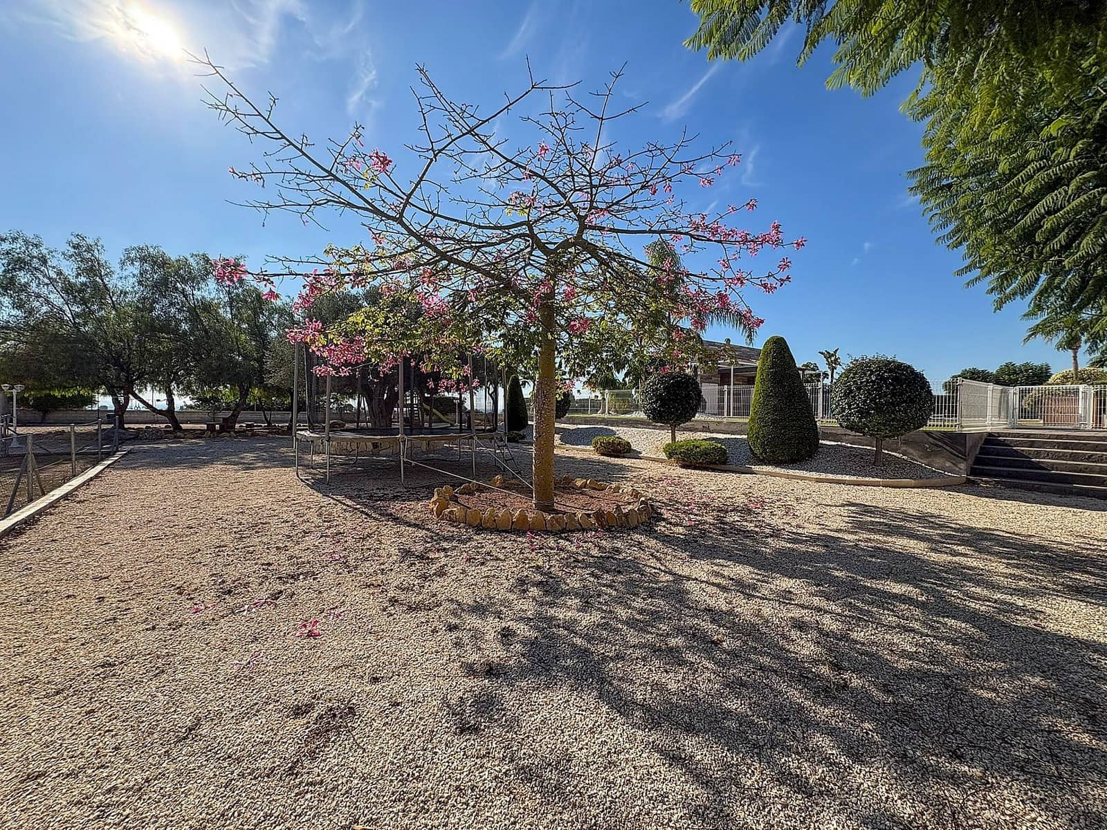 8 soveværelse Villa til salg i Crevillente / Crevillent med swimmingpool - € 680.000 (Ref: 8636149)