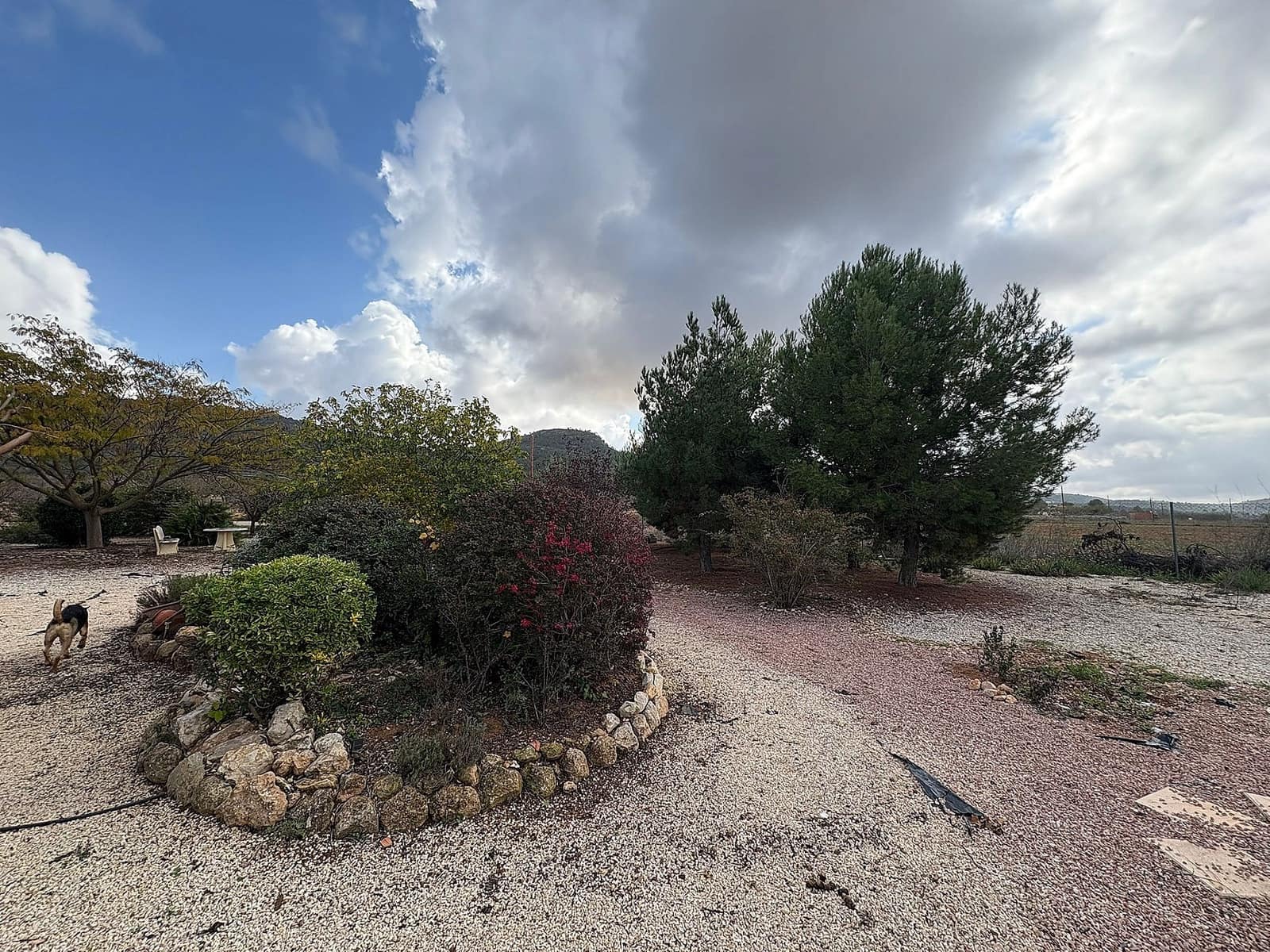 5 bedroom Villa for sale in Pinoso with pool - € 349,995 (Ref: 8637524)