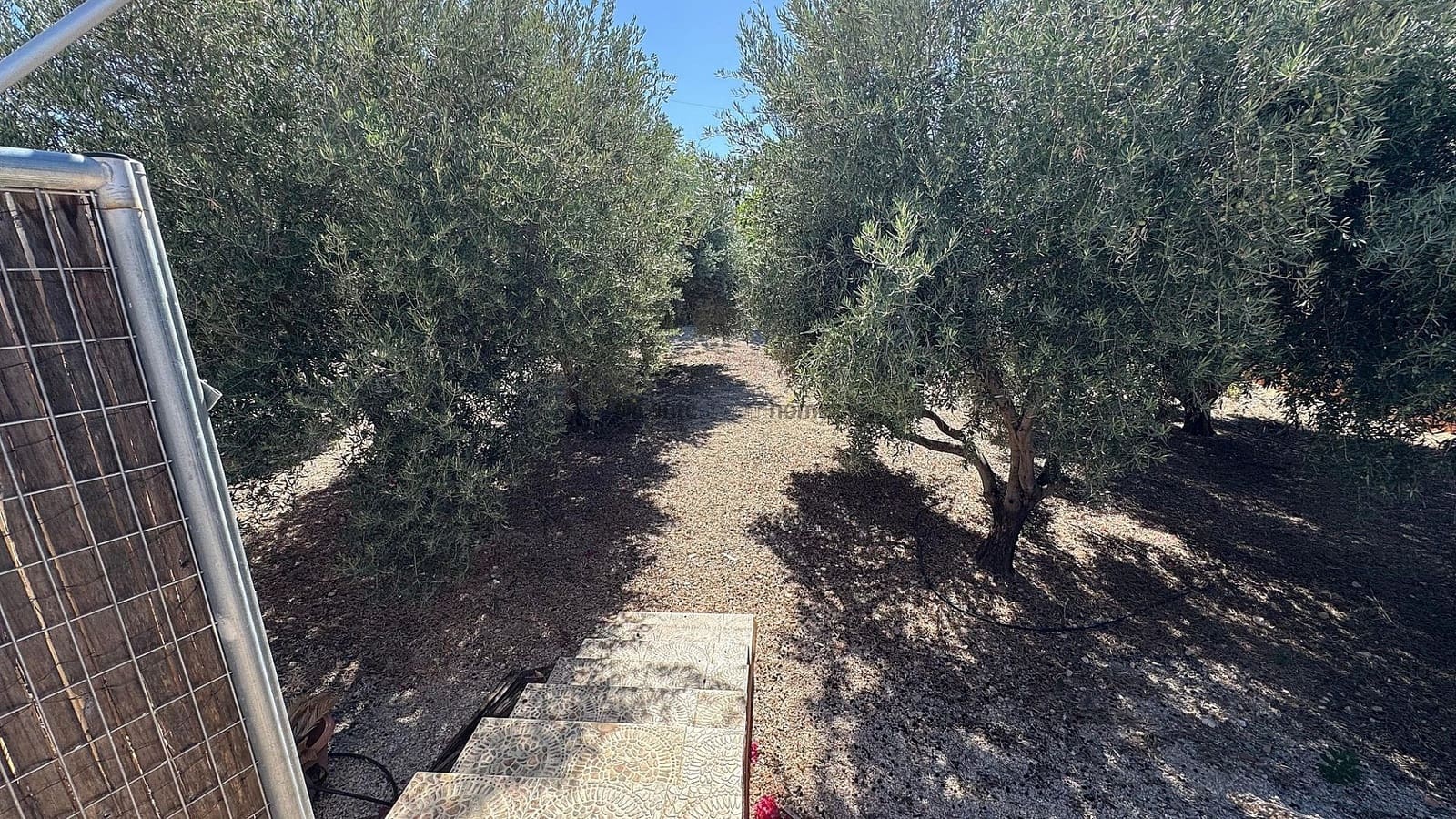 6 camera da letto Villa in vendita in Albatera con piscina - 329.900 € (Rif: 8703245)