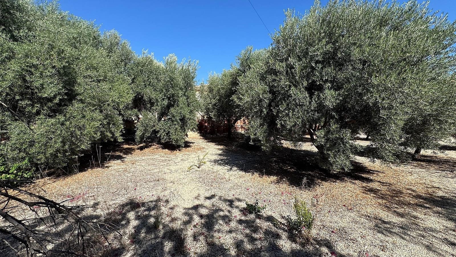 6 camera da letto Villa in vendita in Albatera con piscina - 329.900 € (Rif: 8703245)