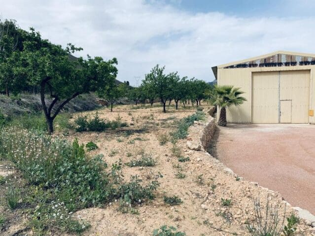 Ubebygd land til salgs i La Romana - € 139 950 (Ref: 8703790)