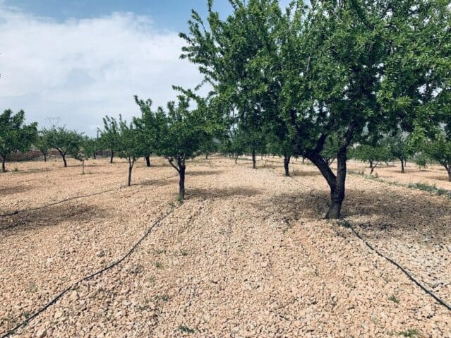 Ubebygd land til salgs i La Romana - € 139 950 (Ref: 8703790)