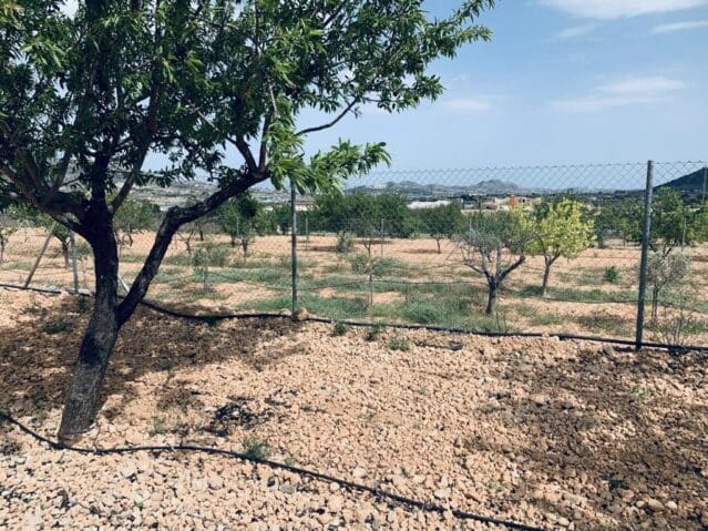 Ubebygd land til salgs i La Romana - € 139 950 (Ref: 8703790)