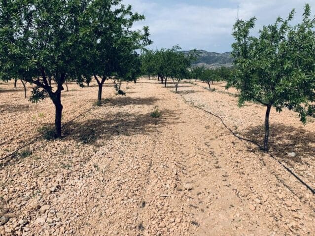 Ubebygd land til salgs i La Romana - € 139 950 (Ref: 8703790)