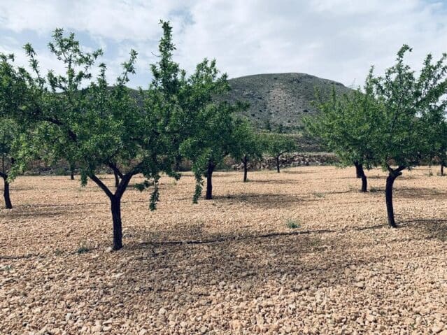 Ubebygd land til salgs i La Romana - € 139 950 (Ref: 8703790)