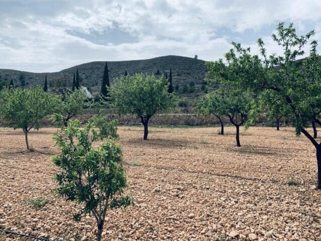 Ubebygd land til salgs i La Romana - € 139 950 (Ref: 8703790)